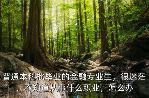 普通本科批畢業(yè)的金融專(zhuān)業(yè)生，很迷茫，不知道從事什么職業(yè)，怎么辦