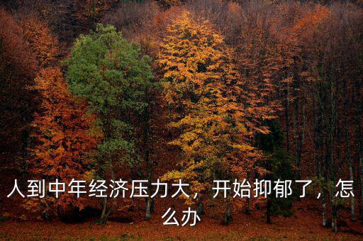 人到中年經(jīng)濟(jì)壓力大，開始抑郁了，怎么辦