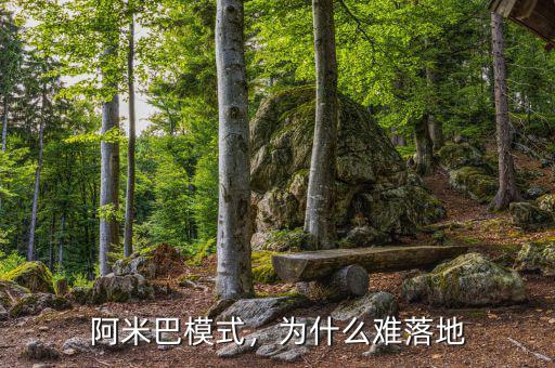 阿米巴模式，為什么難落地