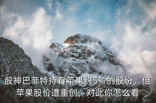 股神巴菲特持有蘋果約5％的股份，但蘋果股價(jià)遭重創(chuàng)，對(duì)此你怎么看