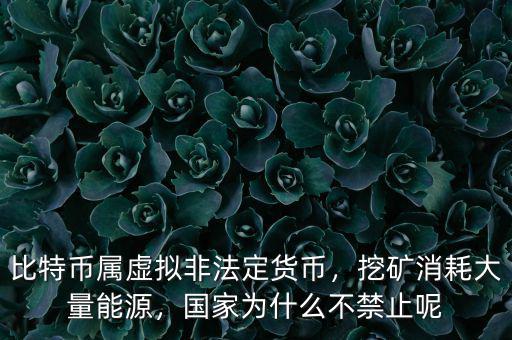 比特幣屬虛擬非法定貨幣，挖礦消耗大量能源，國家為什么不禁止呢