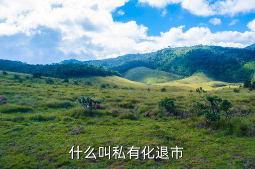 360私有化是什么意思,財(cái)務(wù)上說(shuō)的過(guò)橋是什么意思