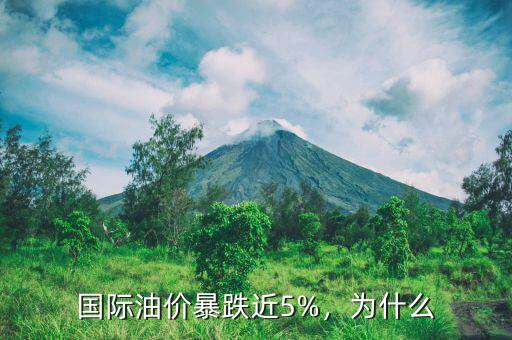 國(guó)際油價(jià)暴跌近5%，為什么
