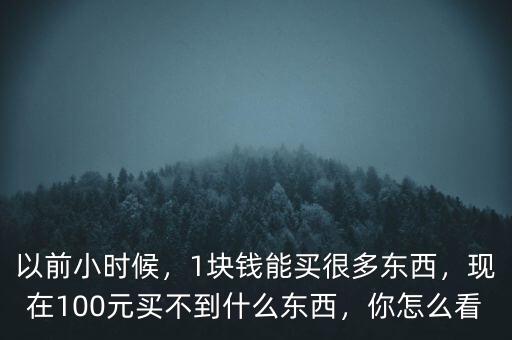 以前小時(shí)候，1塊錢能買很多東西，現(xiàn)在100元買不到什么東西，你怎么看