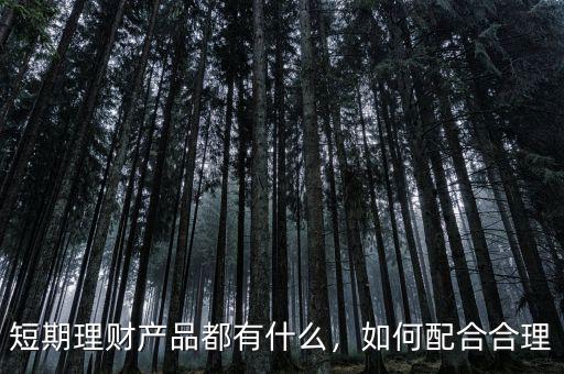 短期理財(cái)產(chǎn)品都有什么，如何配合合理
