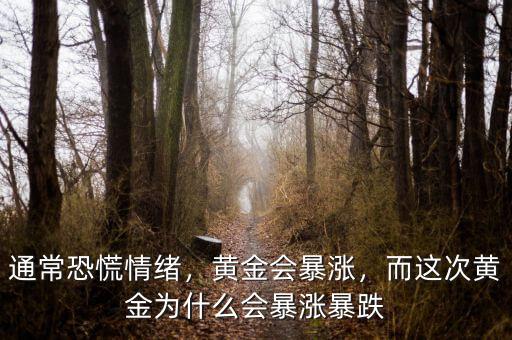 通?？只徘榫w，黃金會暴漲，而這次黃金為什么會暴漲暴跌