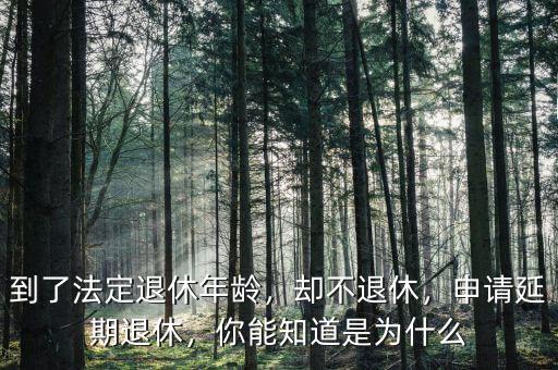 到了法定退休年齡，卻不退休，申請延期退休，你能知道是為什么