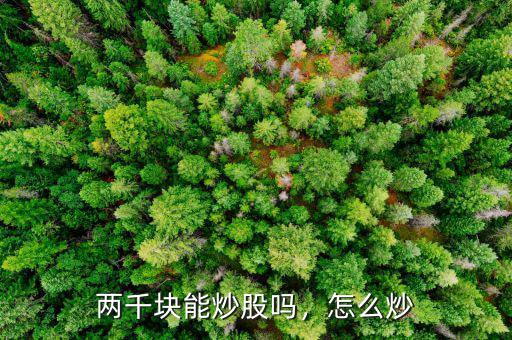 兩千塊能炒股嗎，怎么炒