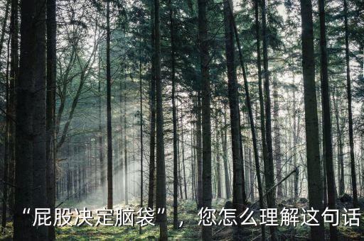 “屁股決定腦袋”，您怎么理解這句話