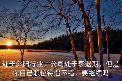 處于夕陽行業(yè)，公司處于衰退期，但是你自己職位待遇不錯(cuò)，要繼續(xù)嗎