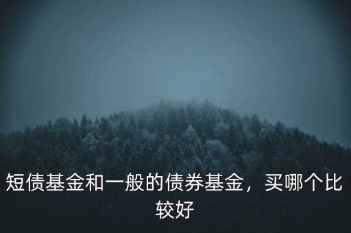 短債基金和一般的債券基金，買哪個比較好