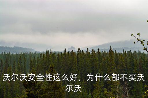 沃爾沃安全性這么好，為什么都不買沃爾沃