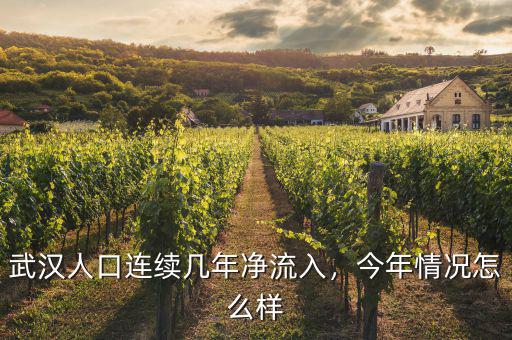 武漢人口連續(xù)幾年凈流入，今年情況怎么樣
