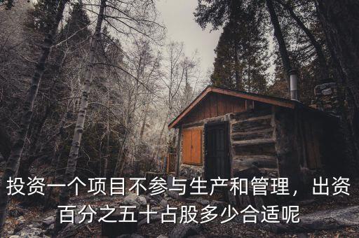 投資一個(gè)項(xiàng)目不參與生產(chǎn)和管理，出資百分之五十占股多少合適呢