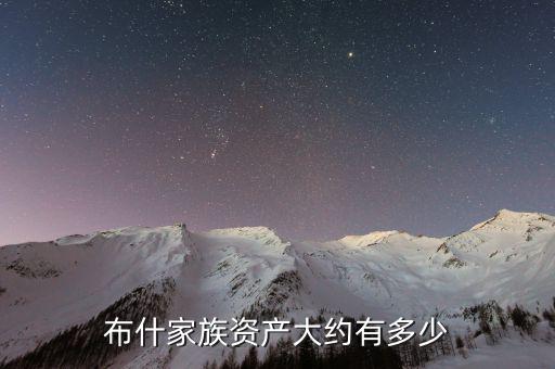 匯鴻有多少資產,布什家族資產大約有多少