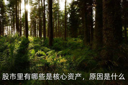 股市里有哪些是核心資產(chǎn)，原因是什么