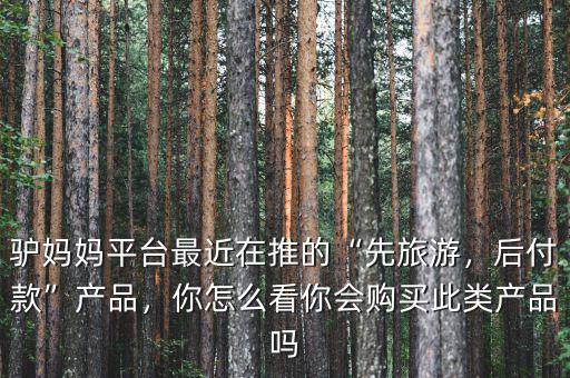 驢媽媽平臺(tái)最近在推的“先旅游，后付款”產(chǎn)品，你怎么看你會(huì)購買此類產(chǎn)品嗎