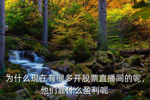 為什么現(xiàn)在有很多開股票直播間的呢，他們靠什么盈利呢