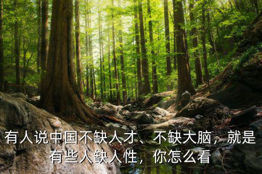 有人說中國不缺人才、不缺大腦，就是有些人缺人性，你怎么看