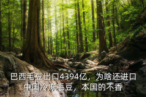 巴西毛豆出口4394億，為啥還進(jìn)口中國冷凍毛豆，本國的不香