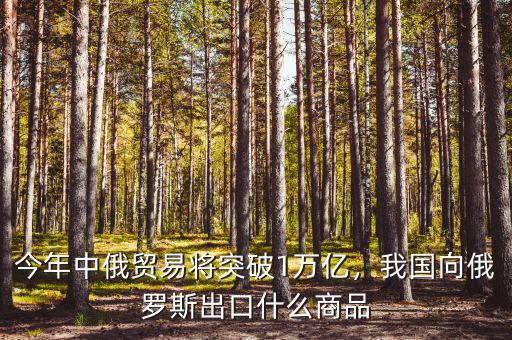 今年中俄貿(mào)易將突破1萬(wàn)億，我國(guó)向俄羅斯出口什么商品