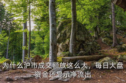 為什么滬市成交額放這么大，每日大盤資金還顯示凈流出