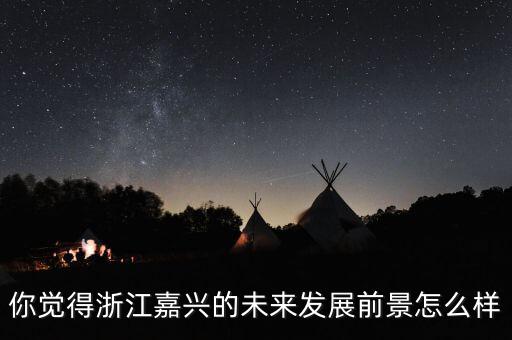 你覺(jué)得浙江嘉興的未來(lái)發(fā)展前景怎么樣