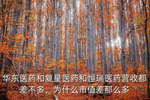 華東醫(yī)藥和復(fù)星醫(yī)藥和恒瑞醫(yī)藥營收都差不多，為什么市值差那么多