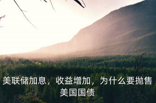 美聯(lián)儲加息，收益增加，為什么要拋售美國國債