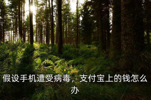 假設(shè)手機(jī)遭受病毒，支付寶上的錢怎么辦