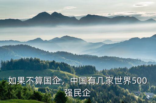 如果不算國企，中國有幾家世界500強民企