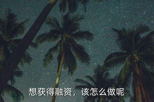 想獲得融資，該怎么做呢