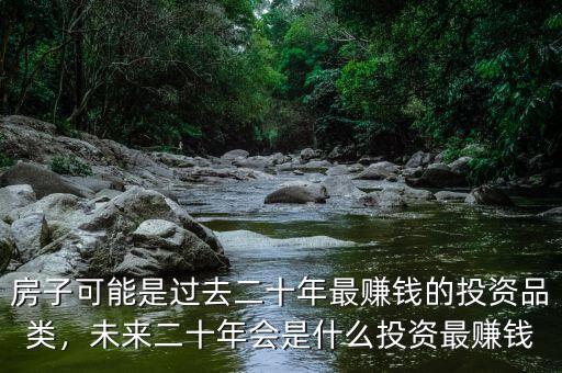 房子可能是過去二十年最賺錢的投資品類，未來二十年會是什么投資最賺錢