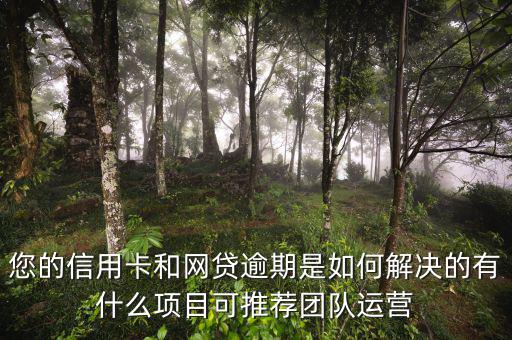 網(wǎng)貸怎么運營,有什么項目可推薦團(tuán)隊運營
