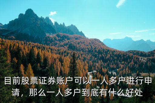 目前股票證券賬戶可以一人多戶進行申請，那么一人多戶到底有什么好處