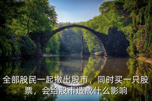 全部股民一起撤出股市，同時買一只股票，會給股市造成什么影響