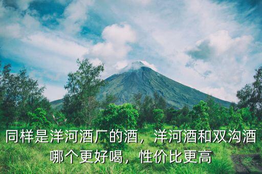 同樣是洋河酒廠的酒，洋河酒和雙溝酒哪個更好喝，性價比更高