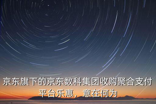 京東旗下的京東數(shù)科集團收購聚合支付平臺樂惠，意在何為
