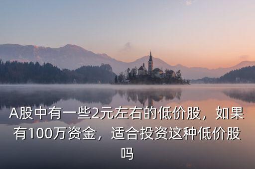 A股中有一些2元左右的低價股，如果有100萬資金，適合投資這種低價股嗎