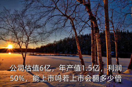公司估值6億，年產(chǎn)值1.5億，利潤(rùn)50%，能上市嗎若上市會(huì)翻多少倍