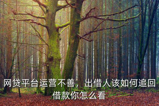網(wǎng)貸平臺(tái)運(yùn)營不善，出借人該如何追回借款你怎么看