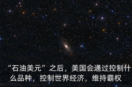 “石油美元”之后，美國(guó)會(huì)通過控制什么品種，控制世界經(jīng)濟(jì)，維持霸權(quán)