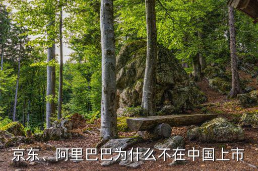 京東、阿里巴巴為什么不在中國上市