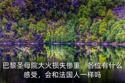 巴黎圣母院大火損失慘重，各位有什么感受，會(huì)和法國(guó)人一樣嗎