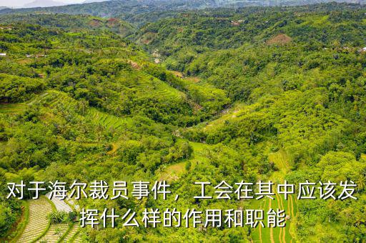 對于海爾裁員事件，工會在其中應該發(fā)揮什么樣的作用和職能