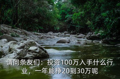 請(qǐng)問(wèn)條友們：投資100萬(wàn)入手什么行業(yè)，一年能掙20到30萬(wàn)呢