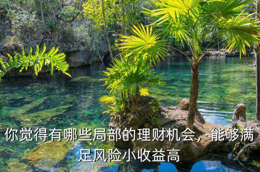 你覺得有哪些局部的理財機(jī)會，能夠滿足風(fēng)險小收益高