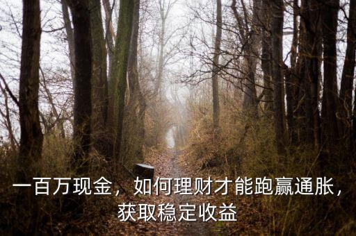 一百萬現(xiàn)金，如何理財才能跑贏通脹，獲取穩(wěn)定收益