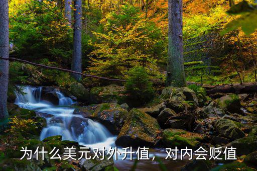 為什么美元對外升值，對內(nèi)會貶值