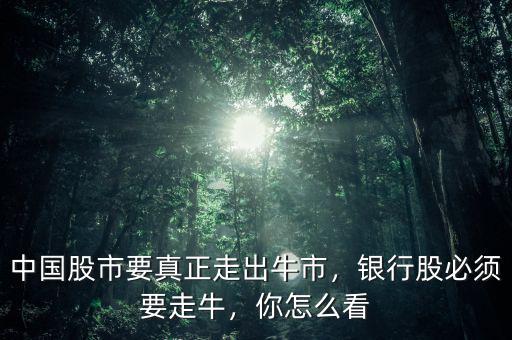 中國股市要真正走出牛市，銀行股必須要走牛，你怎么看
